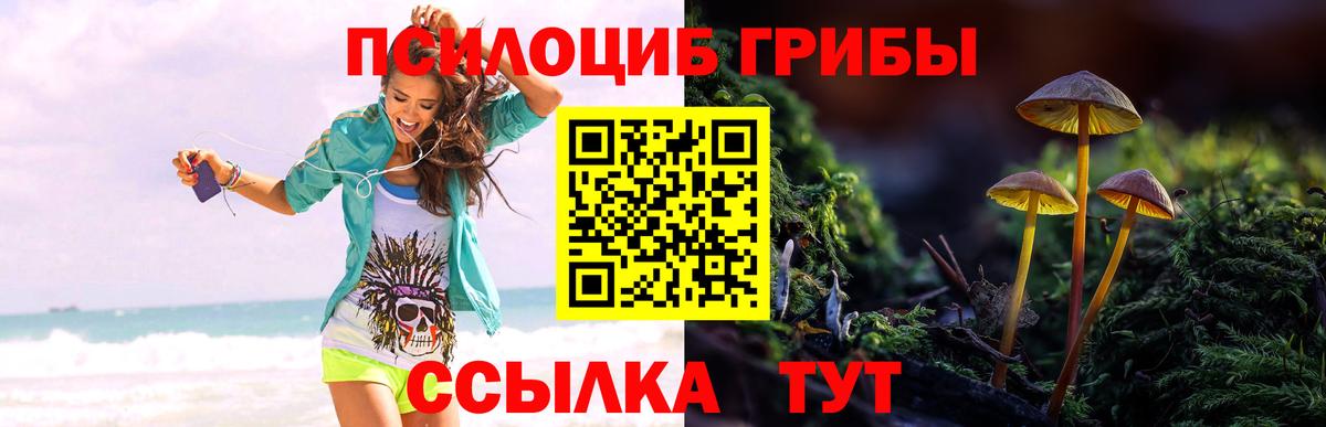 Галлюциногенные грибы MAGIC MUSHROOMS  Вход с VPN  Татарск 